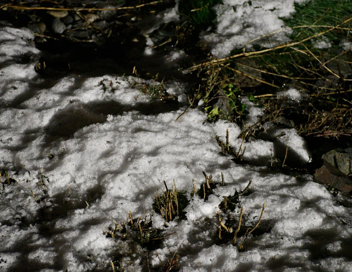 Close view of snow, grass and stones.