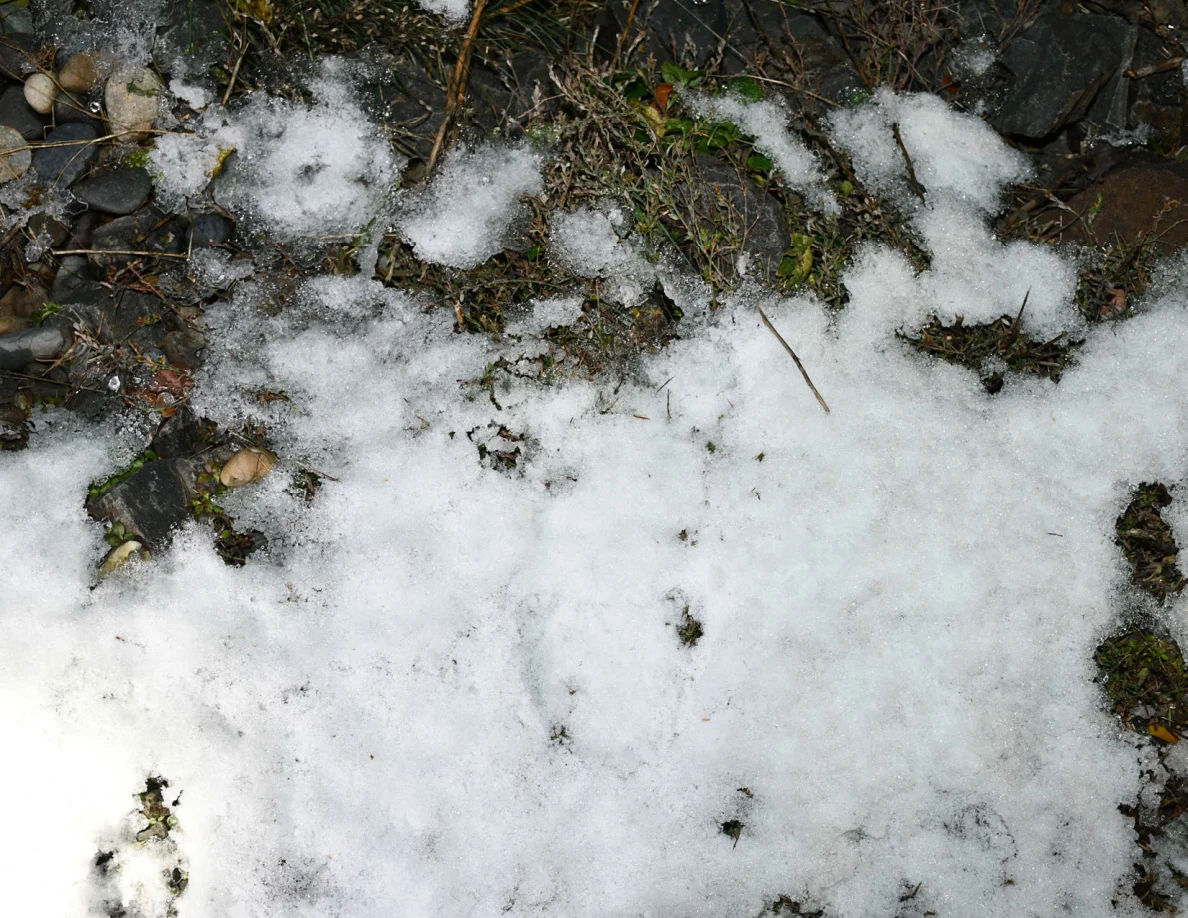 Snow and exposed ground with a shallow depression.