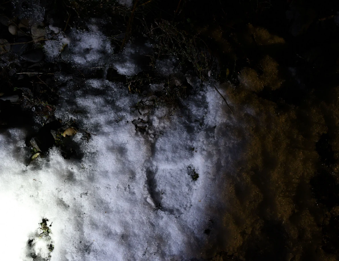 Close view of an elongated depression in snow.