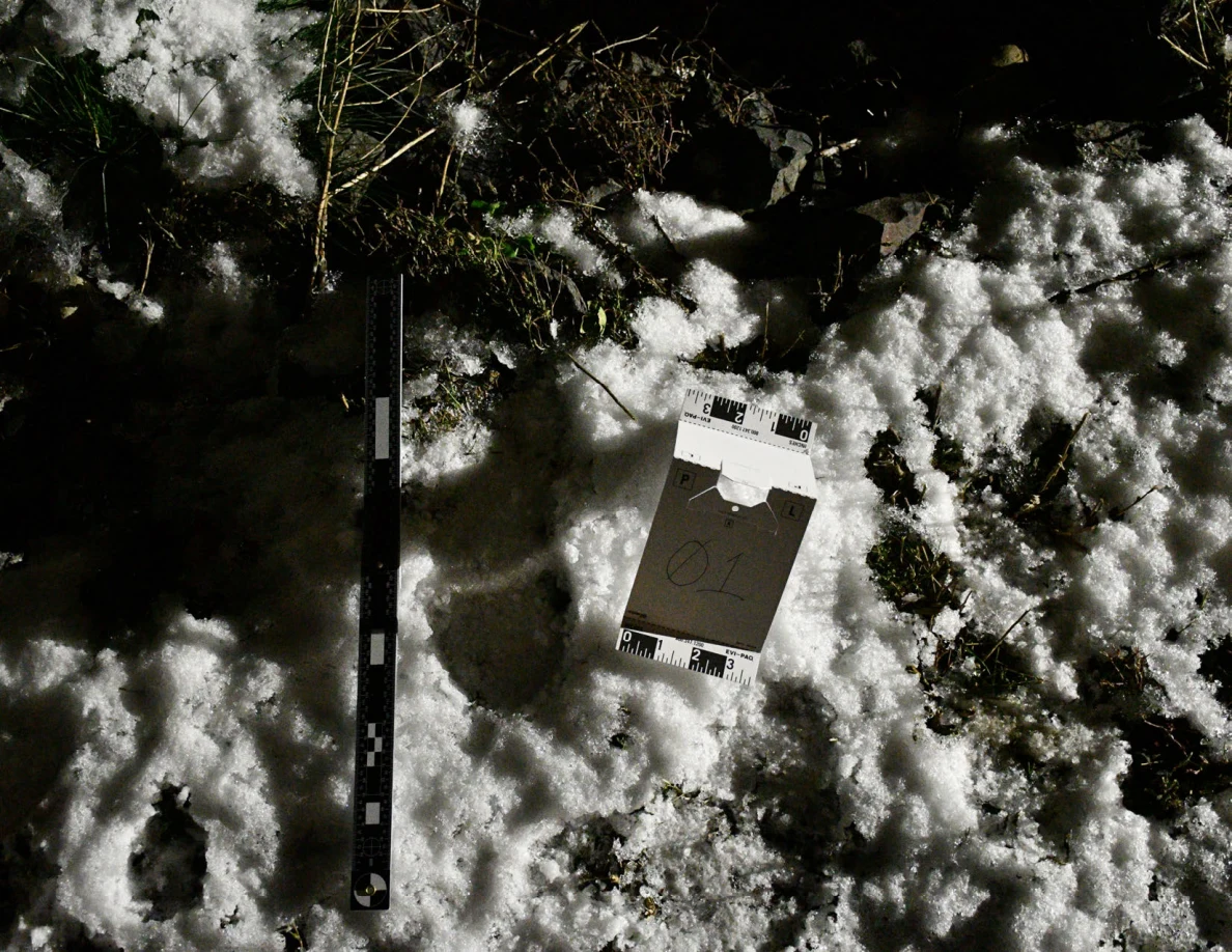 Ruler and numbered reference card beside a depression in snow.