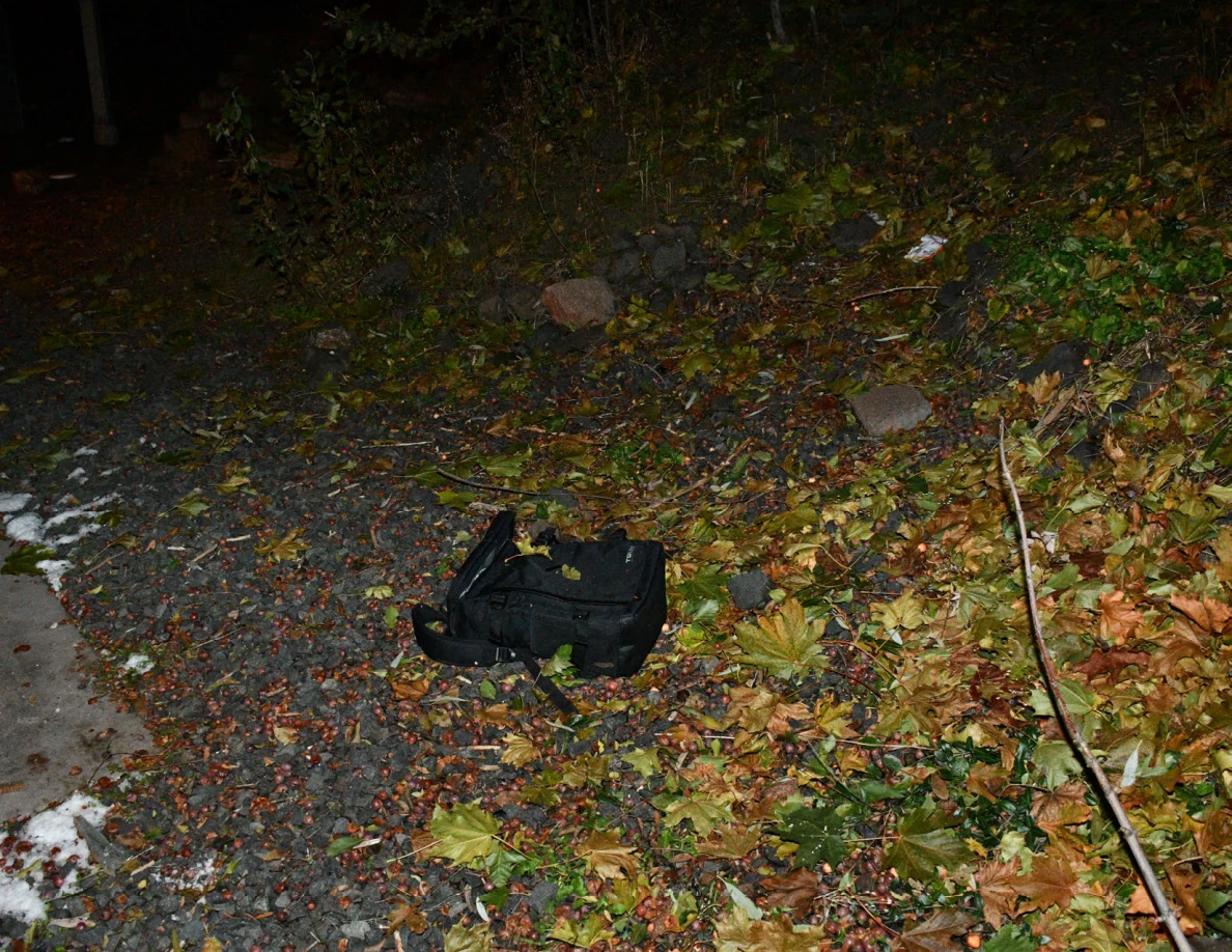 Black soft-sided bag on leaf-covered ground.