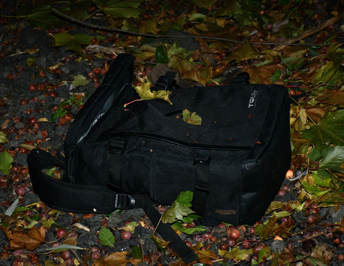 Close view of a black zippered bag lying on fallen leaves.