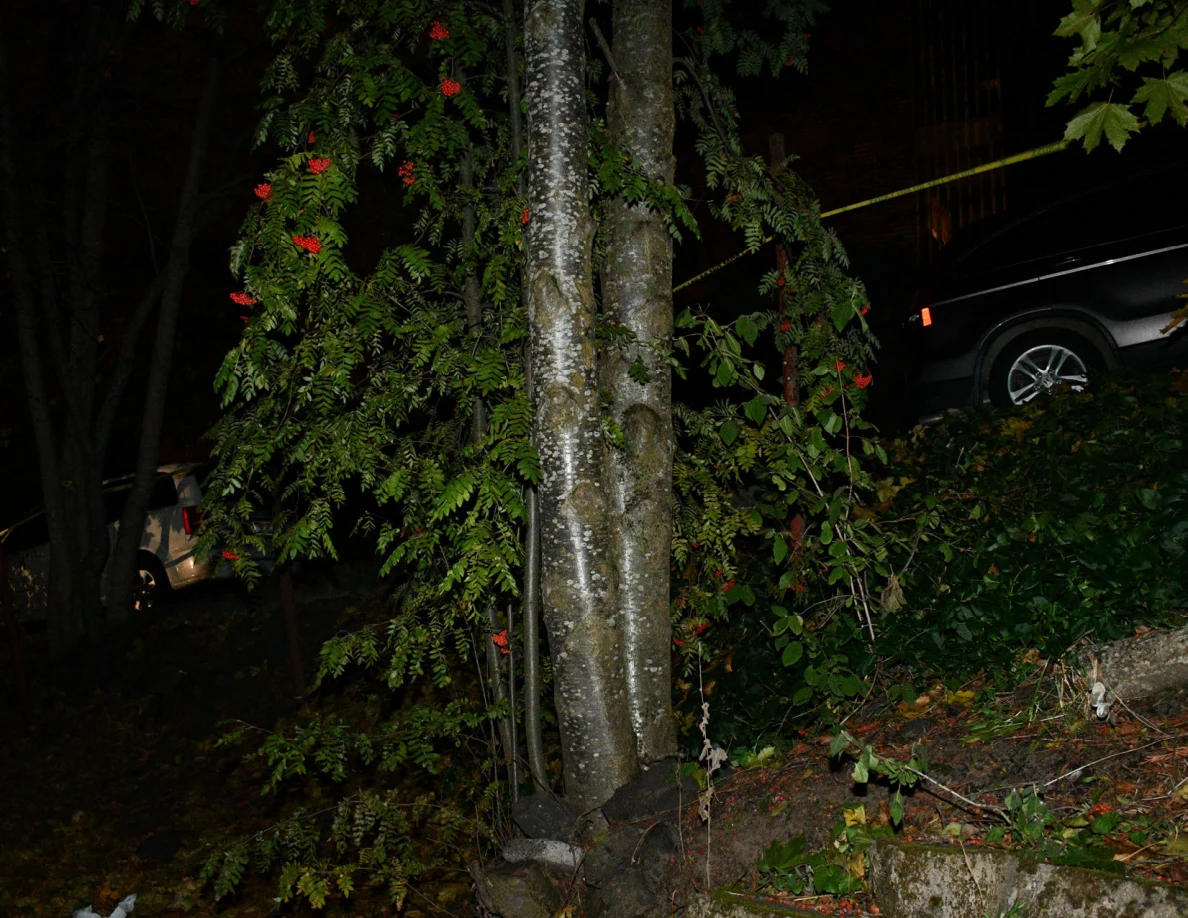 Tree trunk and foliage beside a parked vehicle and yellow barrier tape.