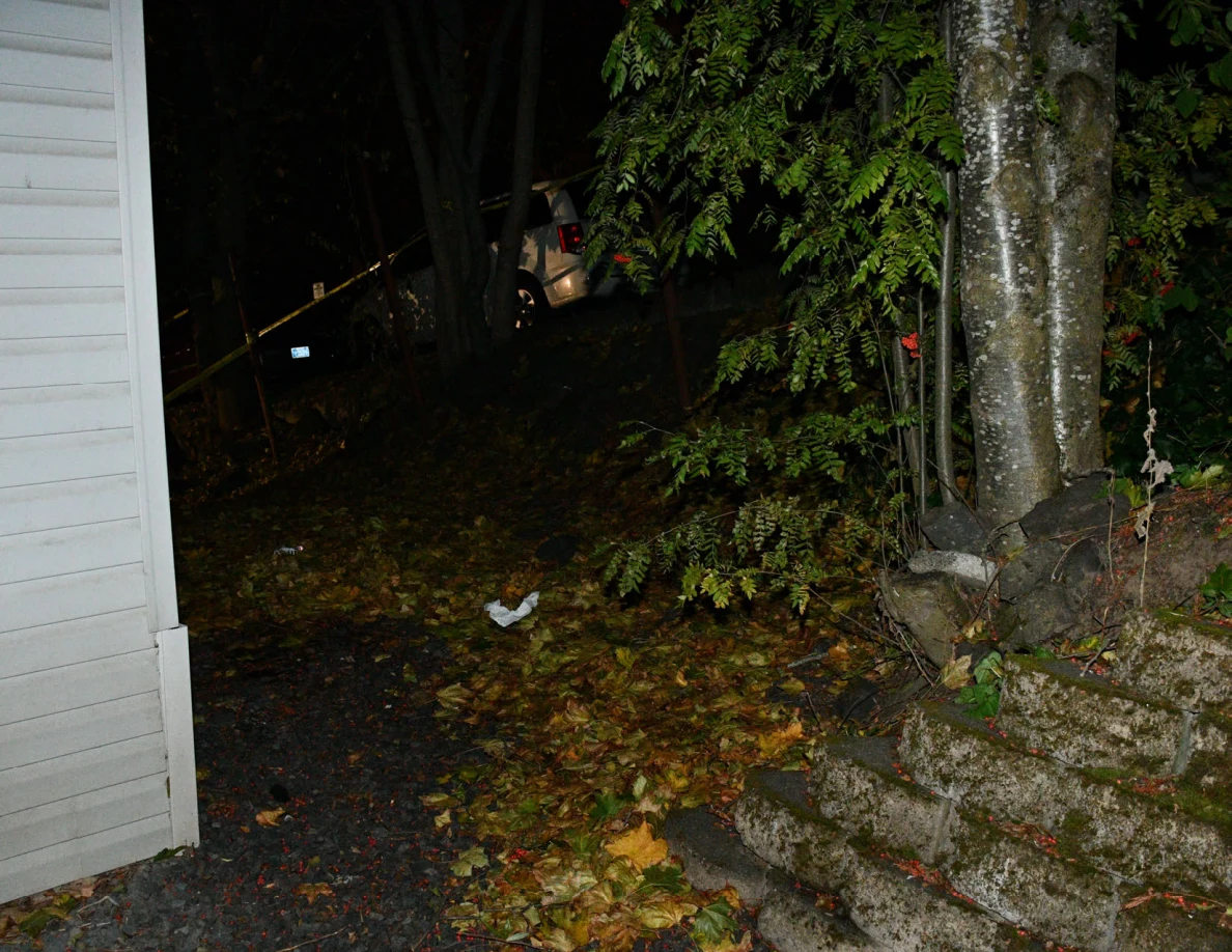 Narrow leaf-covered space beside the house, trees and retaining wall.