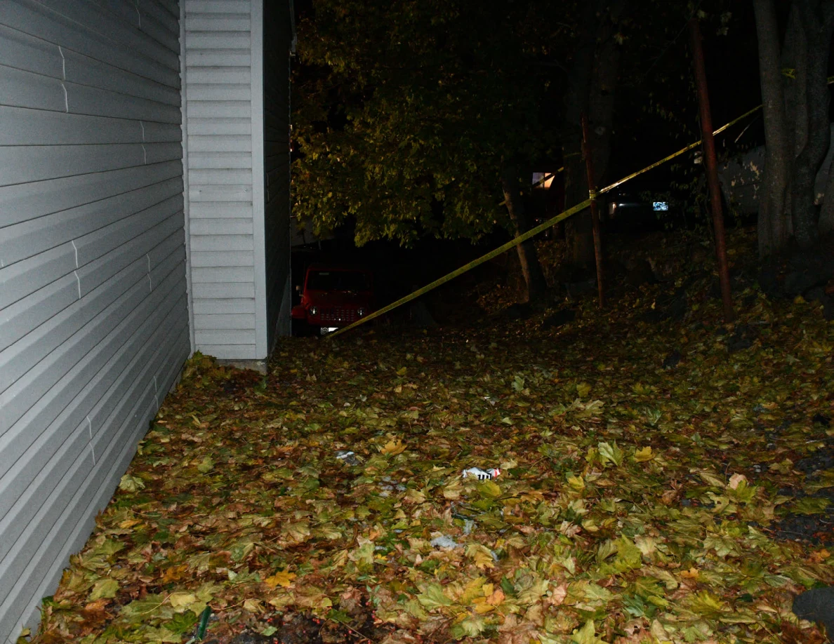 Leaf-covered ground along the house side wall.