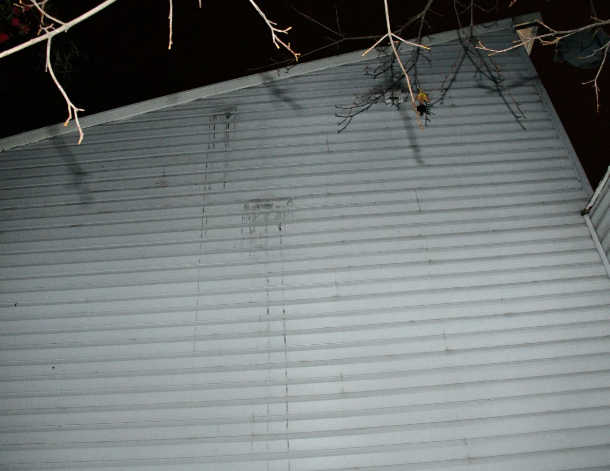 Upper exterior siding beneath tree branches with visible streaks.