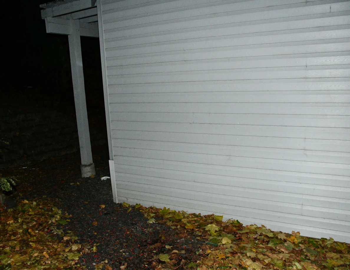 Exterior siding, patio posts and leaf-covered ground.