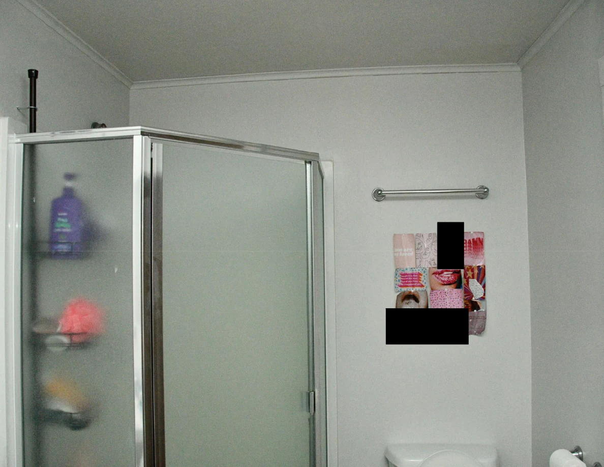 Upper glass shower enclosure and partially redacted wall decoration.