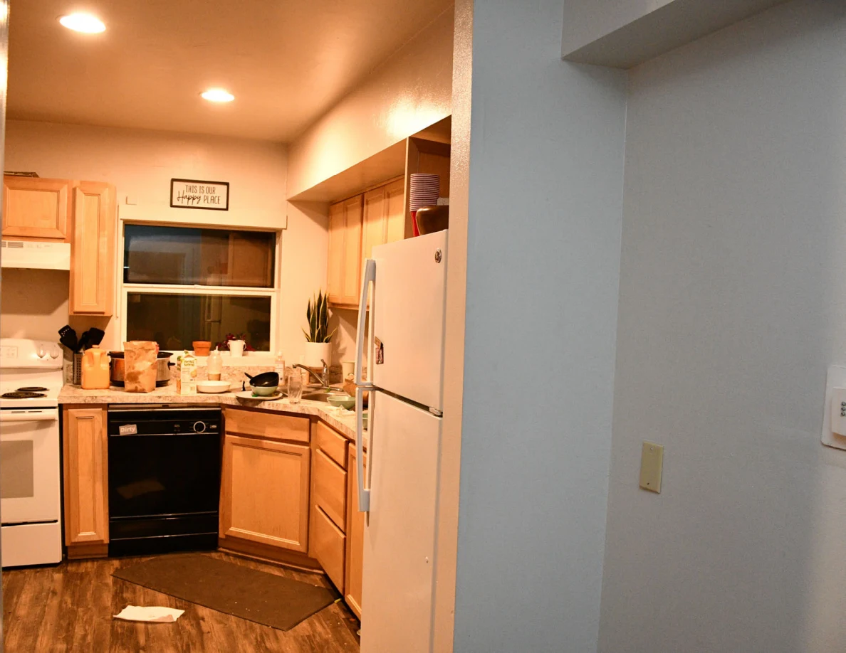 Kitchen cabinets, countertop, refrigerator, dishwasher and ceiling lights.