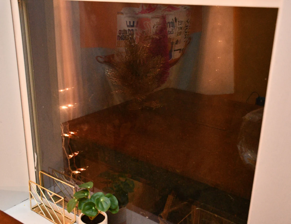 Window glass reflecting a table and decoration; small potted plant on the sill.