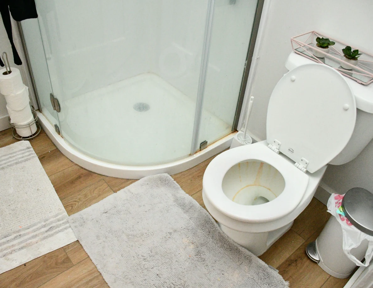 Toilet beside a curved shower enclosure and bathroom rugs.