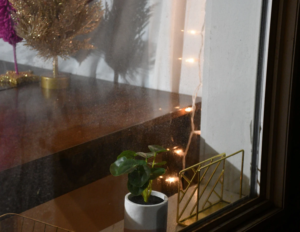 Window glass, small potted plant and reflected string lights.