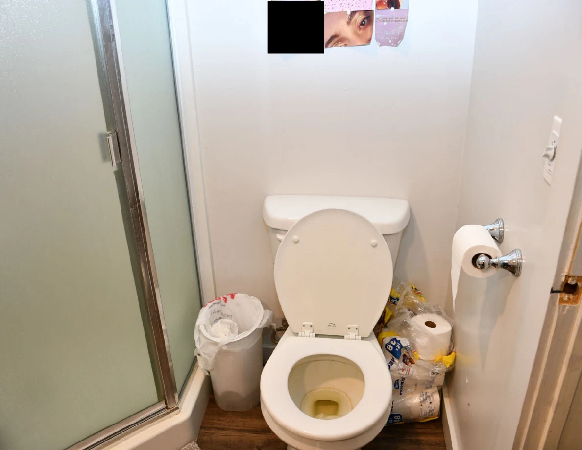 Bathroom toilet beside shower enclosure, trash bin and toilet paper.