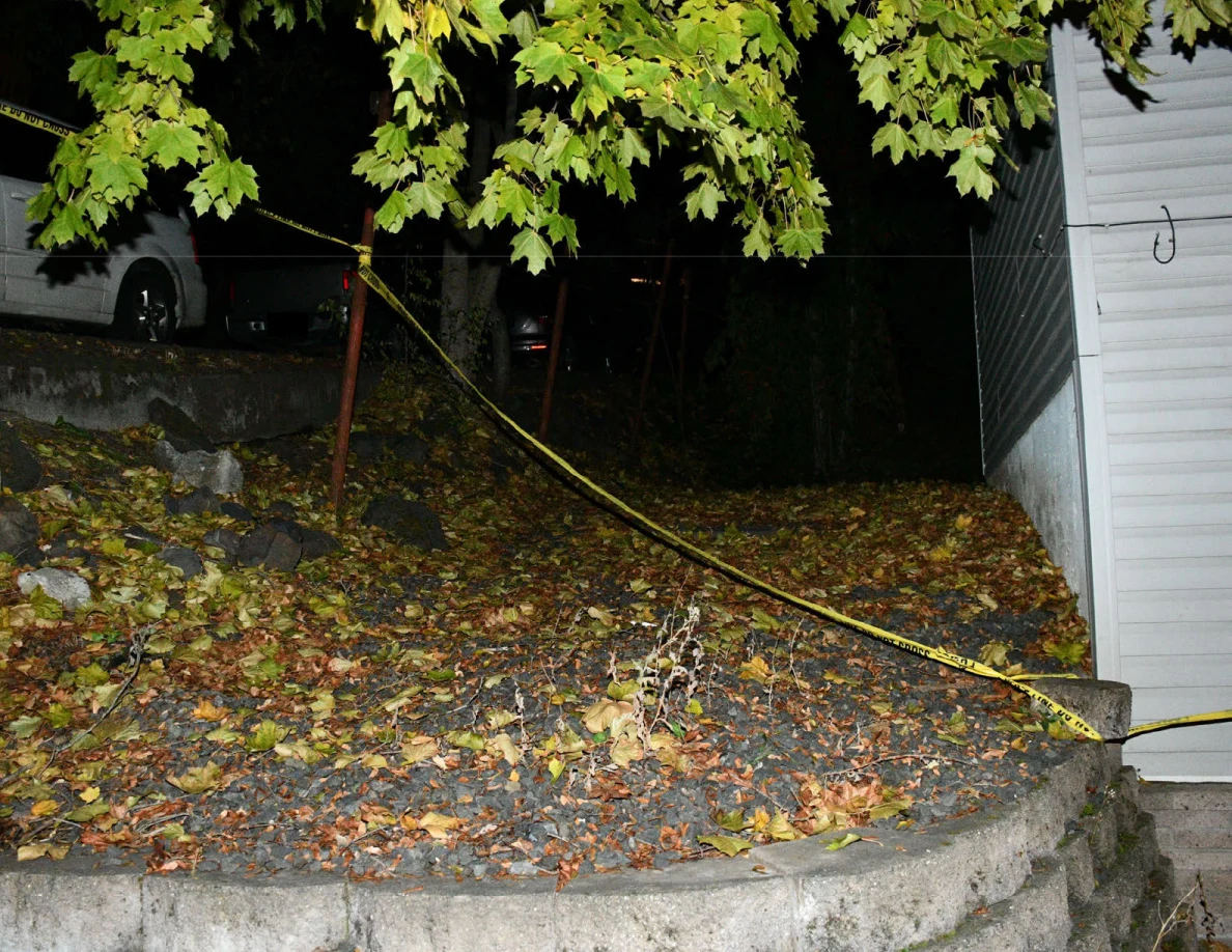 Leaf-covered slope and tree beside house with yellow barrier tape.