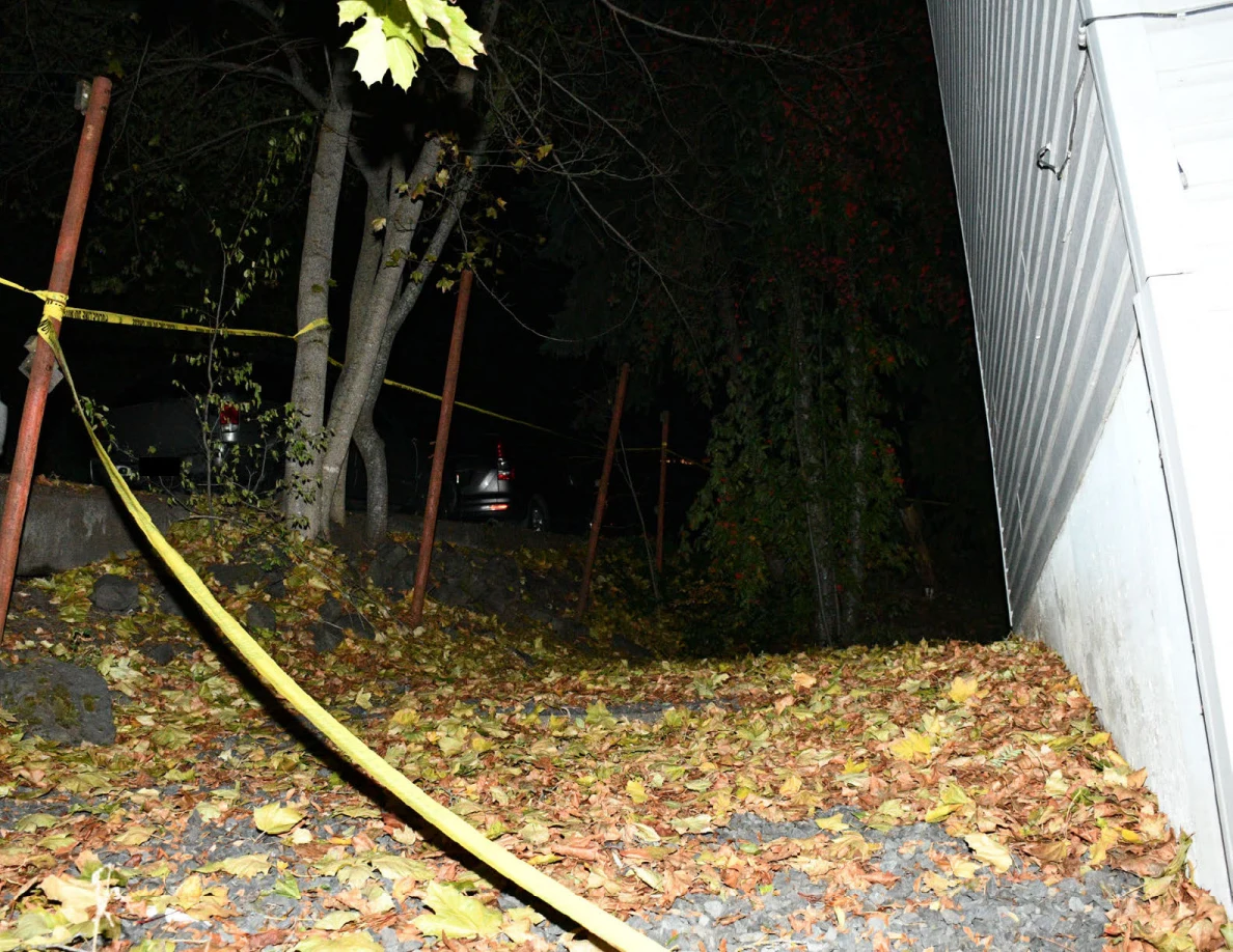 Trees and fallen leaves along the side of a house.
