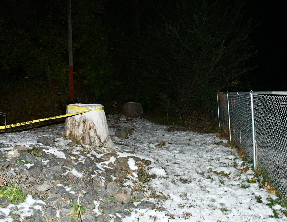 Tree stump and snow-covered slope beside chain-link fence.
