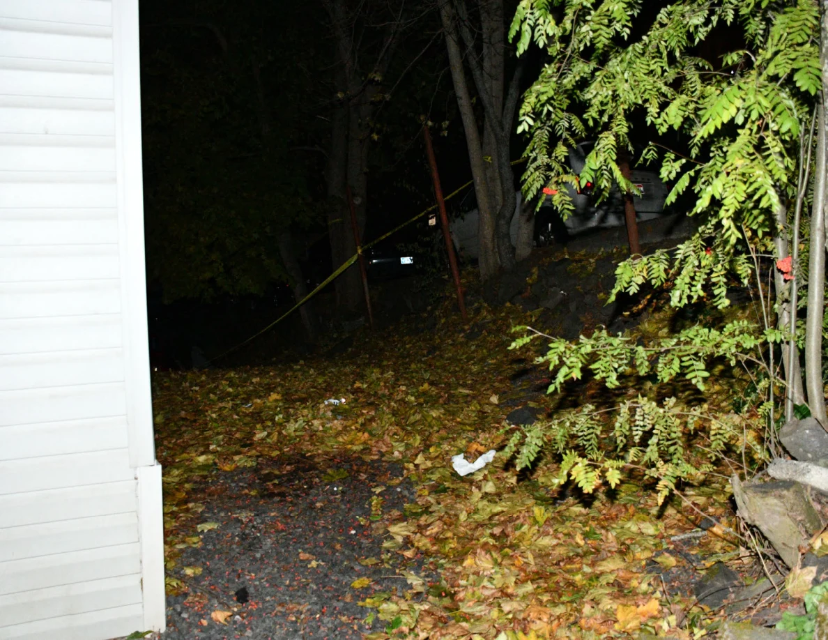 Leaf-covered ground and trees beside house corner.