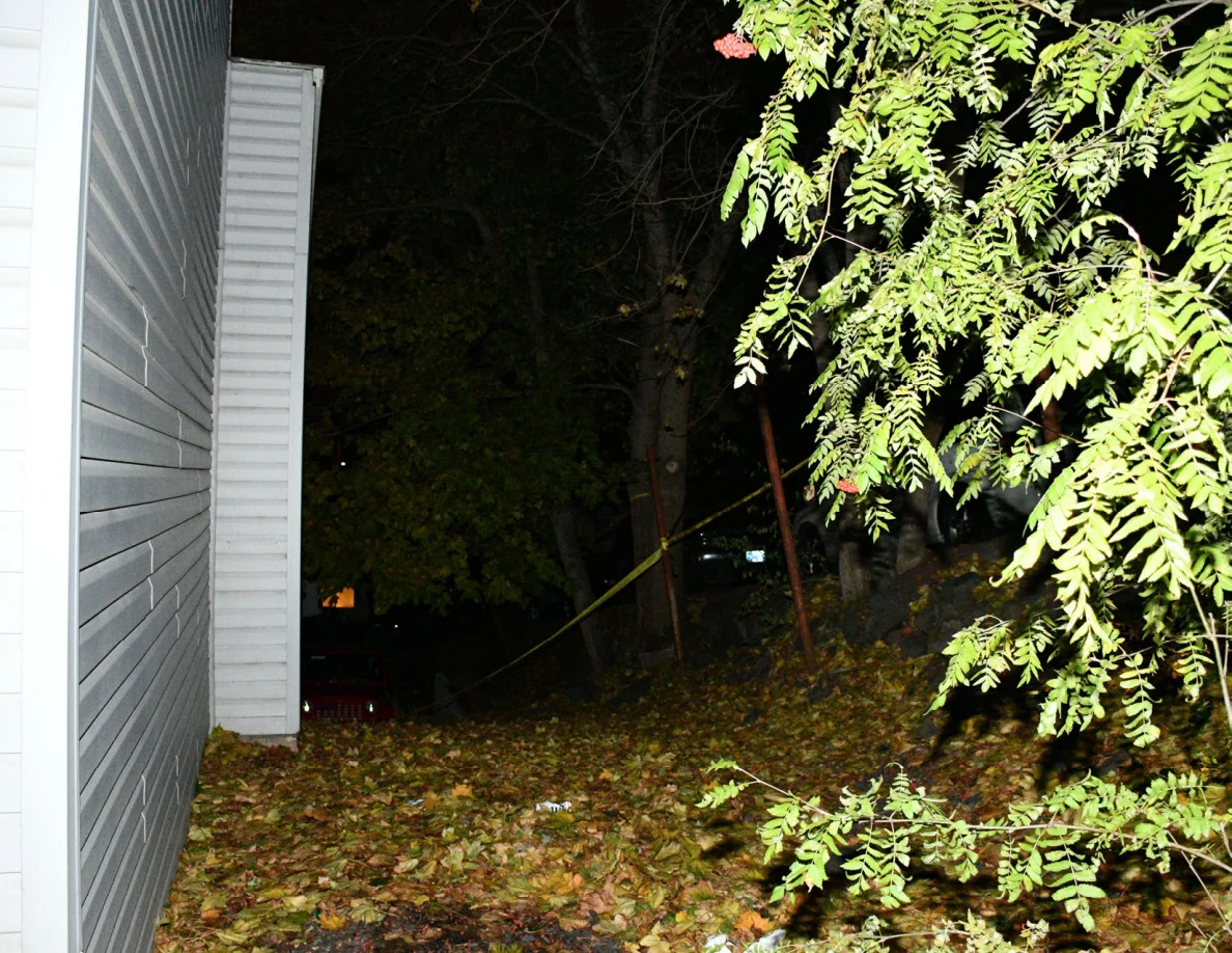 House side wall, foliage and yellow barrier tape.