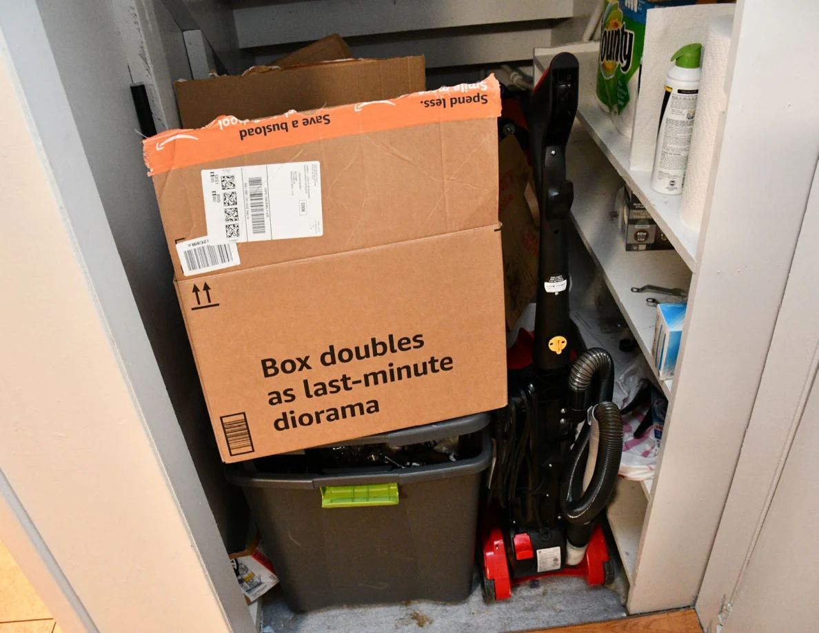 Storage cupboard with cardboard box, vacuum cleaner and household supplies.