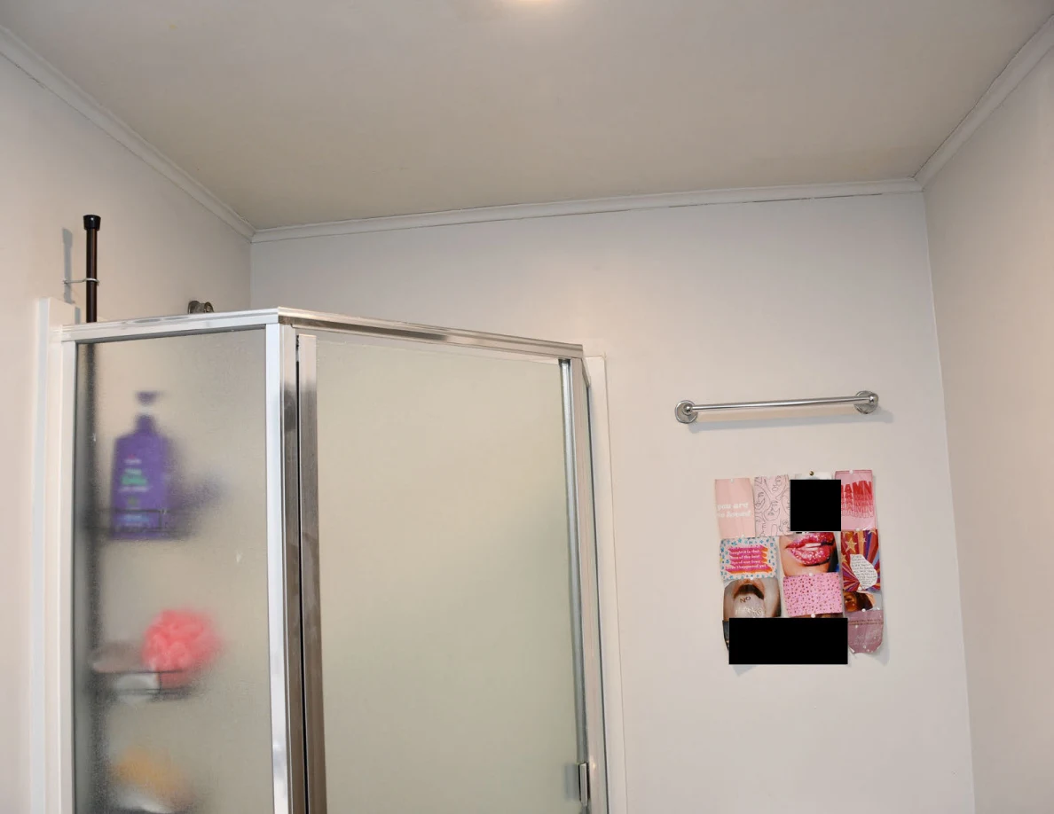 Upper shower enclosure and partially redacted wall decoration.