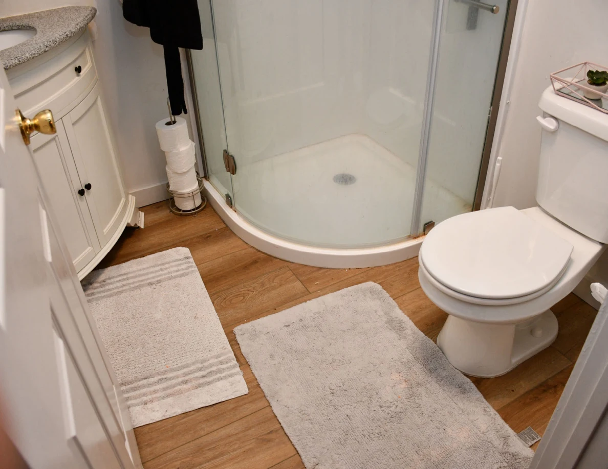 Bathroom toilet, shower enclosure and floor rugs.