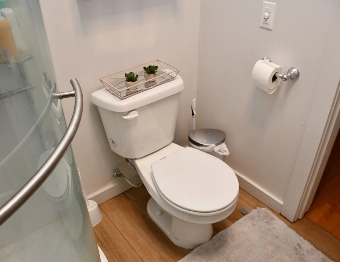 Closed toilet beside curved shower enclosure and small trash bin.