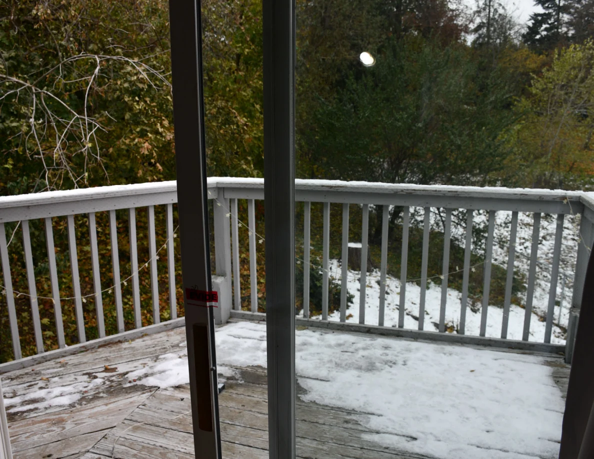 Balcony railing, snow and trees seen through sliding glass door.
