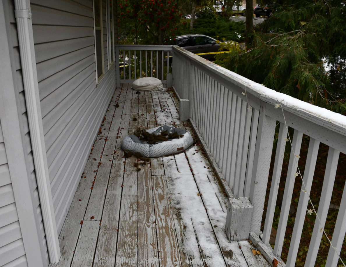 Narrow snowy balcony with two round pet beds beside house wall.