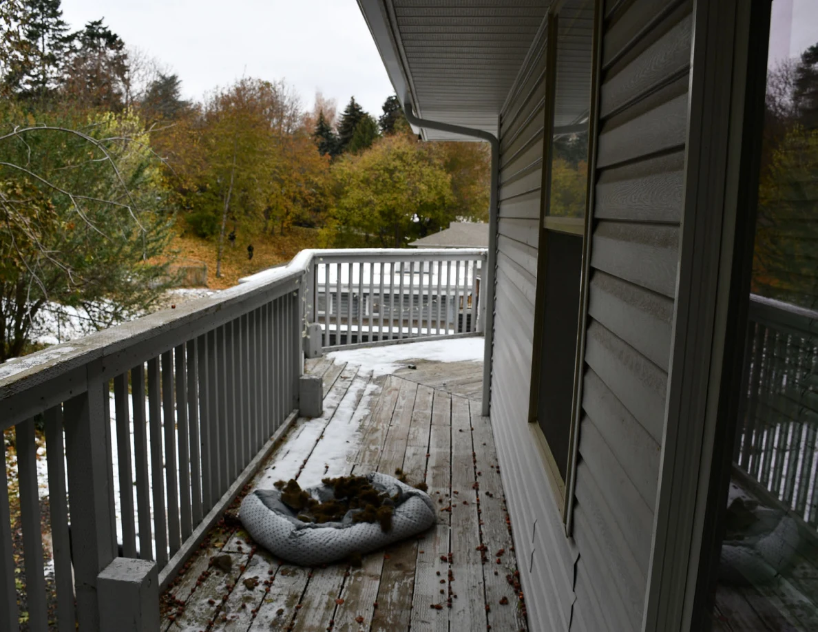 Balcony walkway with a round pet bed and trees beyond the railing.