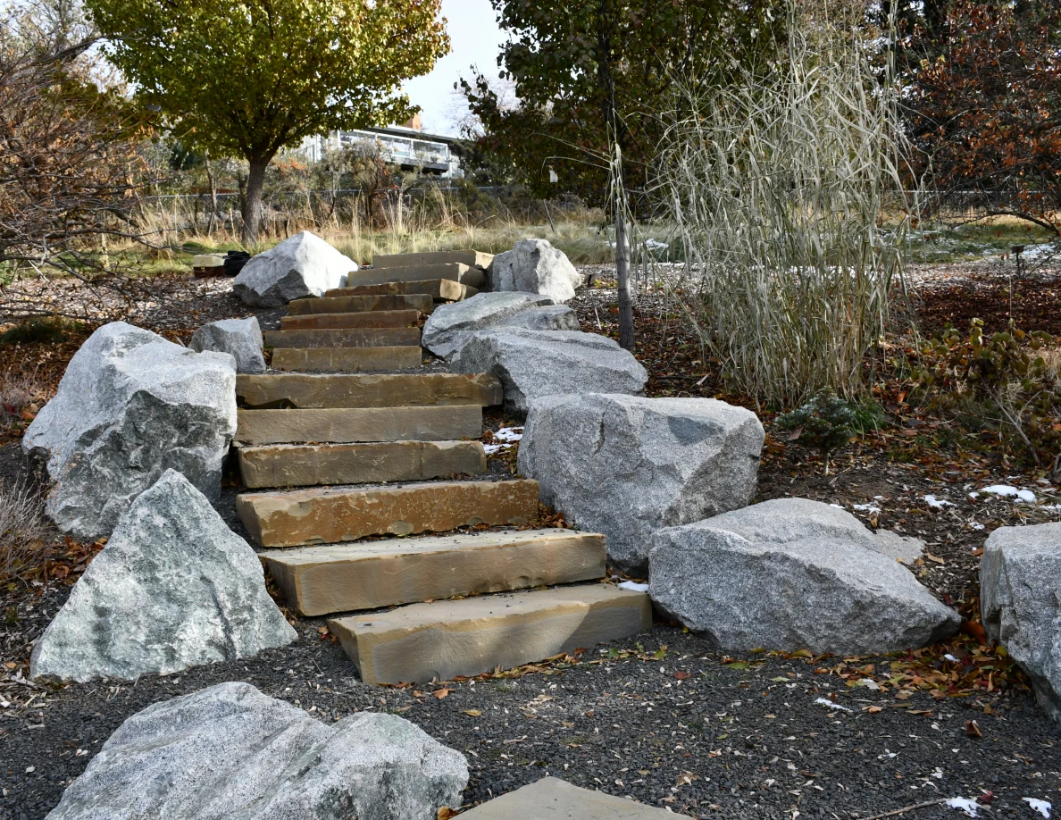 Outdoor stone steps between large landscaping rocks, with shrubs and trees behind them.