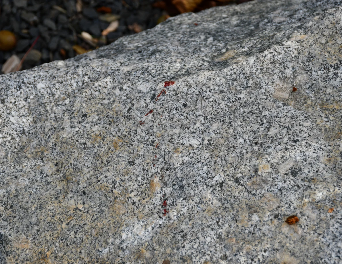 Close view of a small reddish streak on the surface of a gray granite rock.