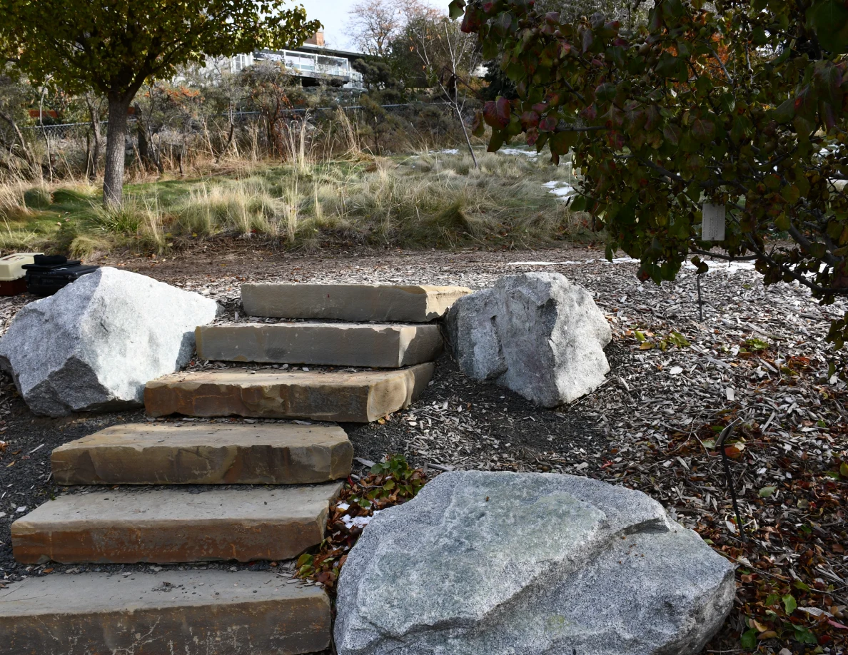 Upper stone steps bordered by gray rocks, with grasses, trees and a white vehicle in the distance.