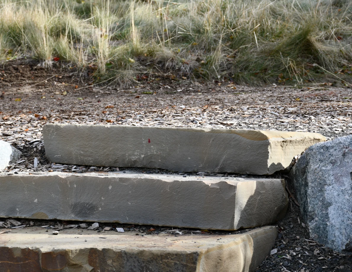 Upper stone stair treads with a small reddish mark on the front face, below grass and wood chips.