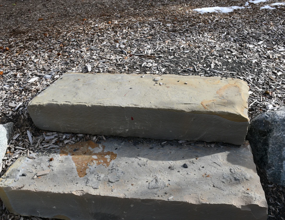 Two broad stone steps with a small reddish mark and chipped tan patches, surrounded by wood chips.