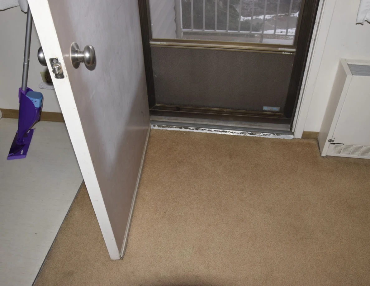 Open white door revealing a metal-framed storm door, tan floor covering and a purple cleaning tool.