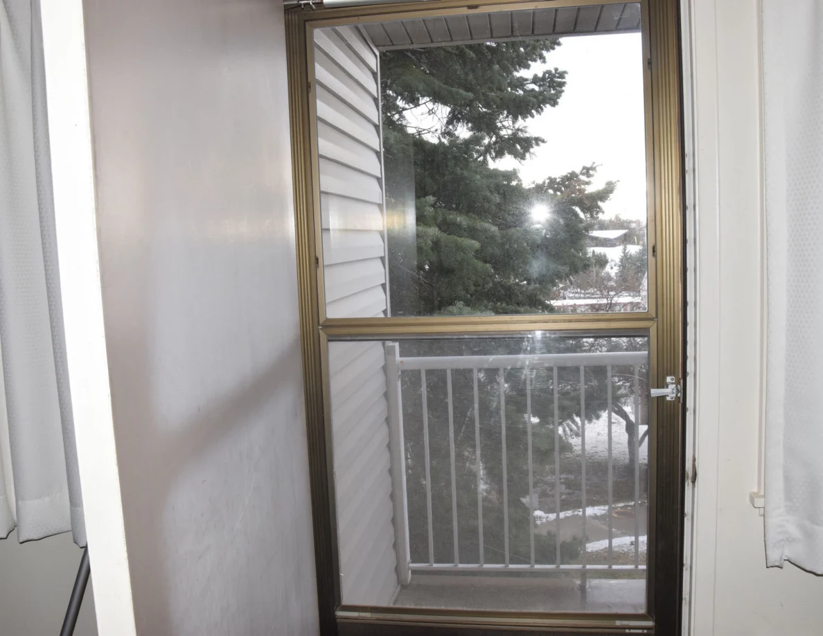 Glass storm door with a view of a white balcony railing, evergreen tree and snow outside.