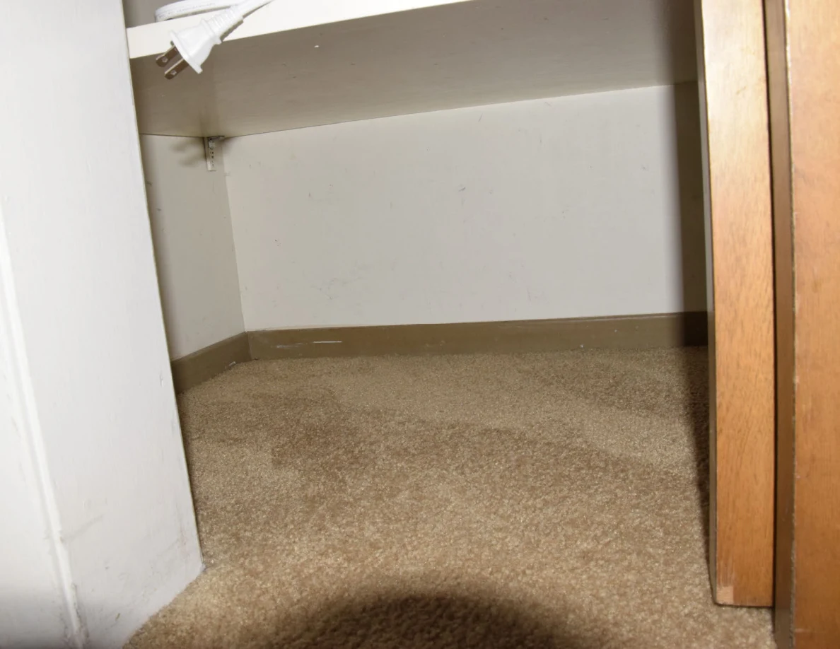 Bare carpeted closet floor beneath a shelf with loose cords.
