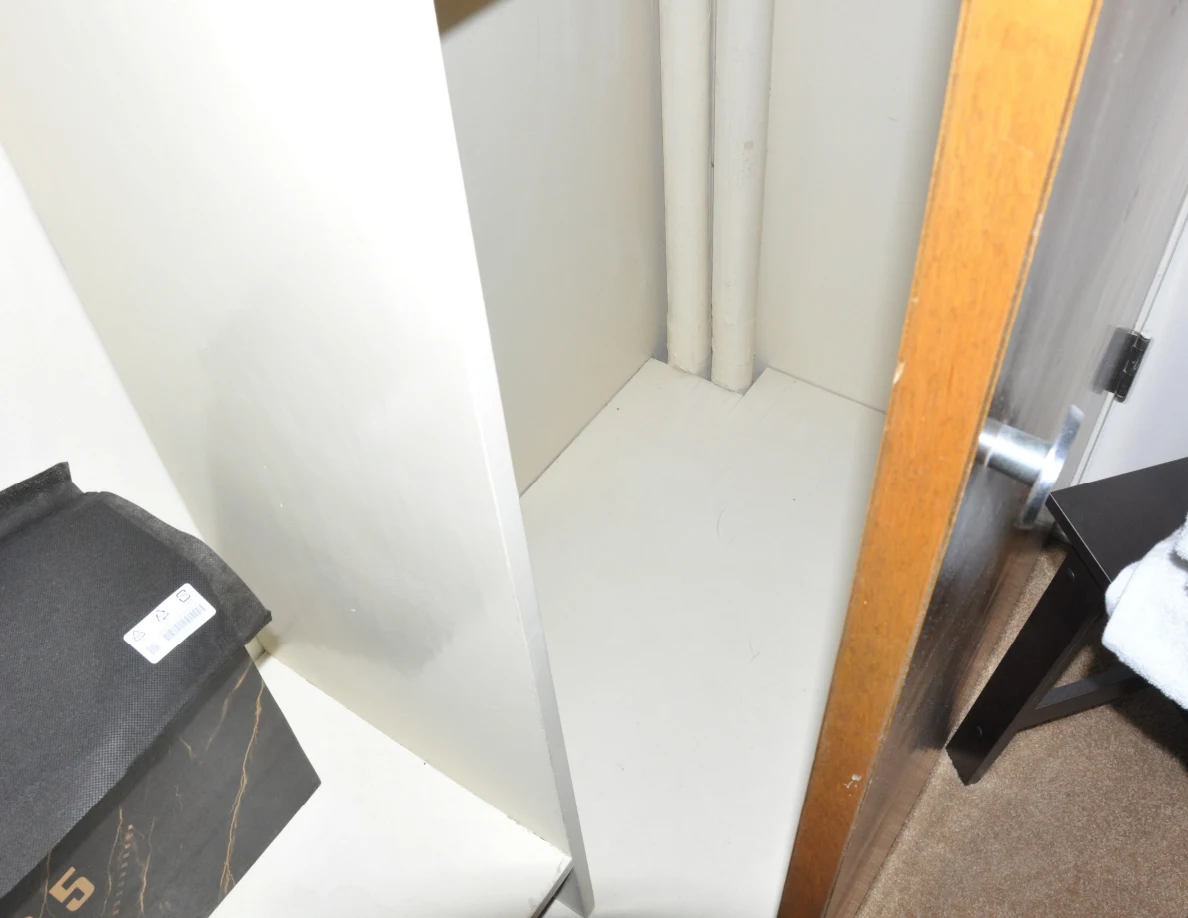Lower closet corner with white vertical pipes beside a black box and wooden door.