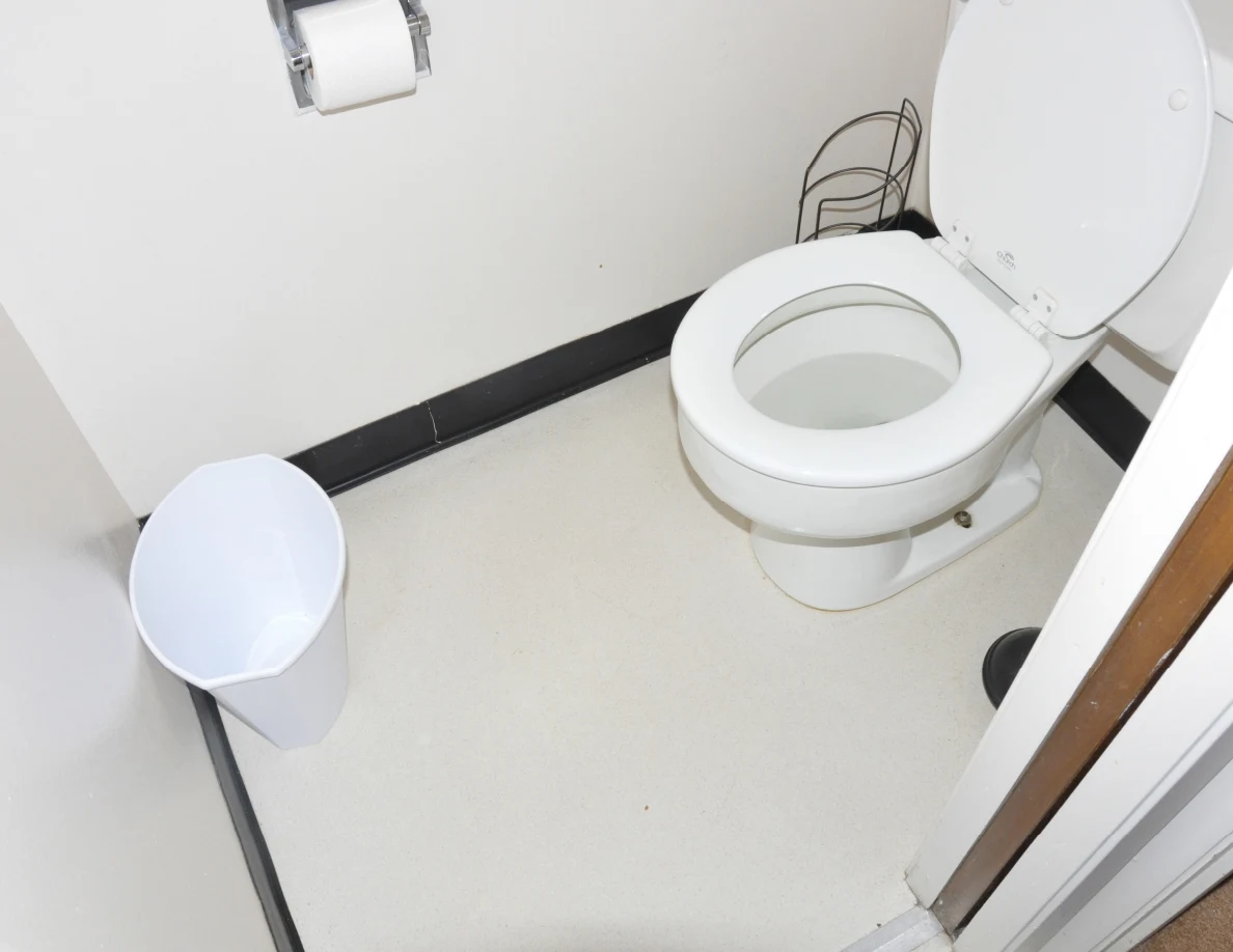 White toilet with raised lid beside a wastebasket and wall-mounted toilet paper roll.