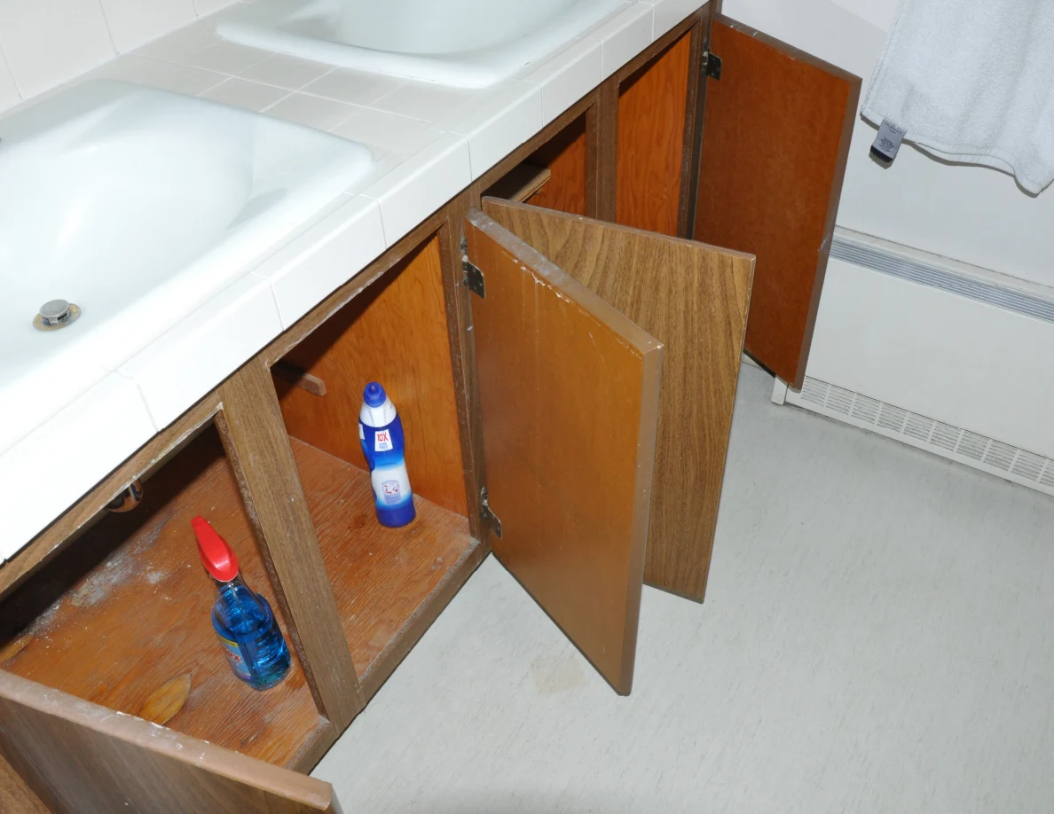 Open vanity cupboards containing blue cleaning bottles beneath two white sinks.