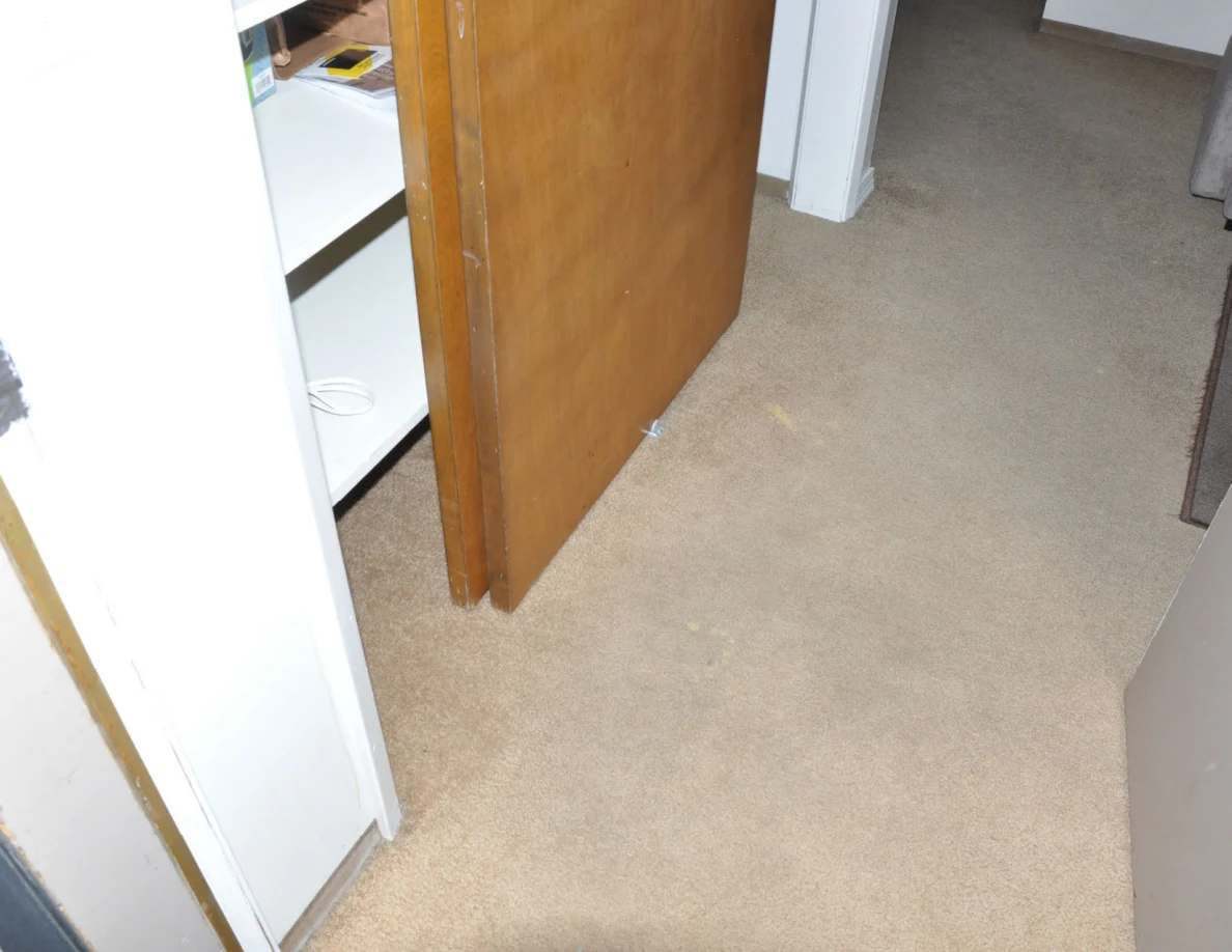 Beige carpet beside an open wooden cupboard door and white shelving.