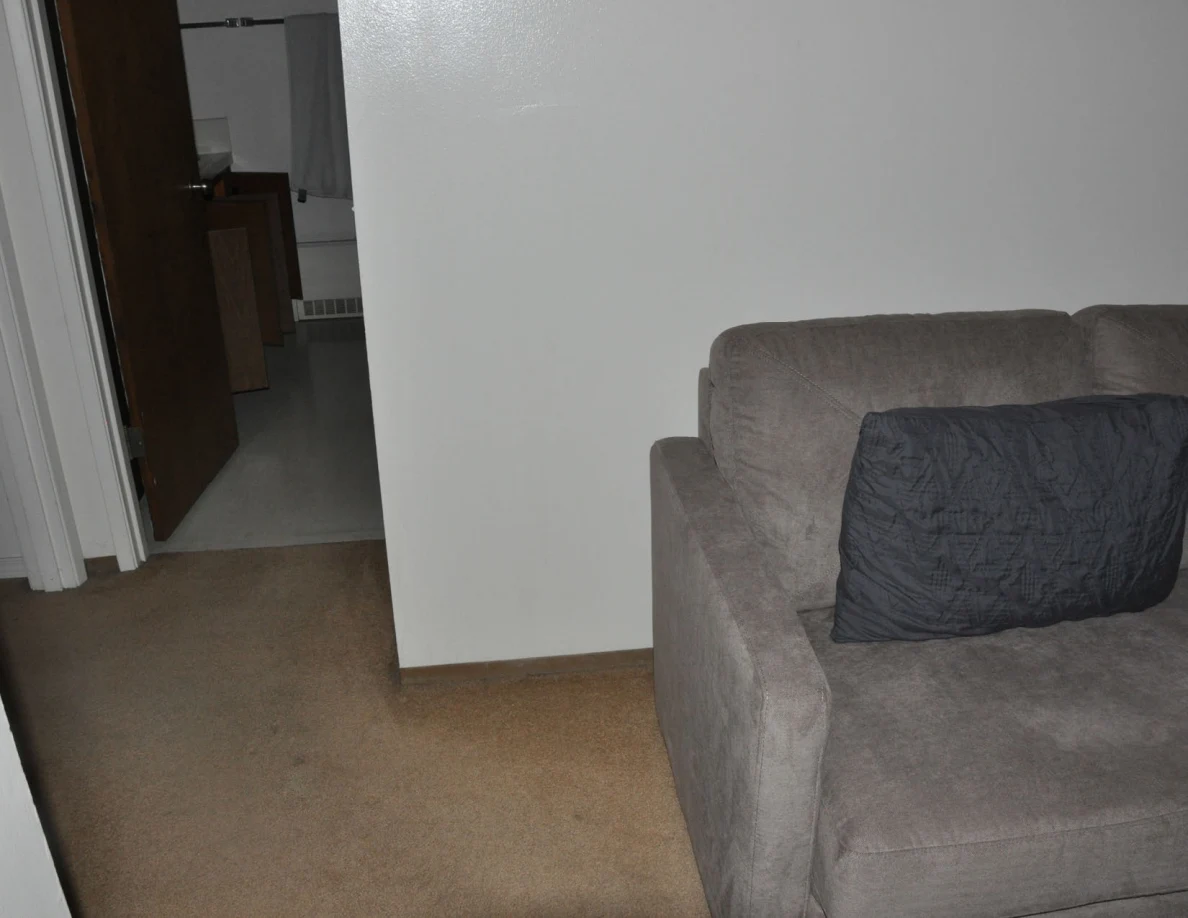 Gray sofa with a dark cushion beside a carpeted hallway.