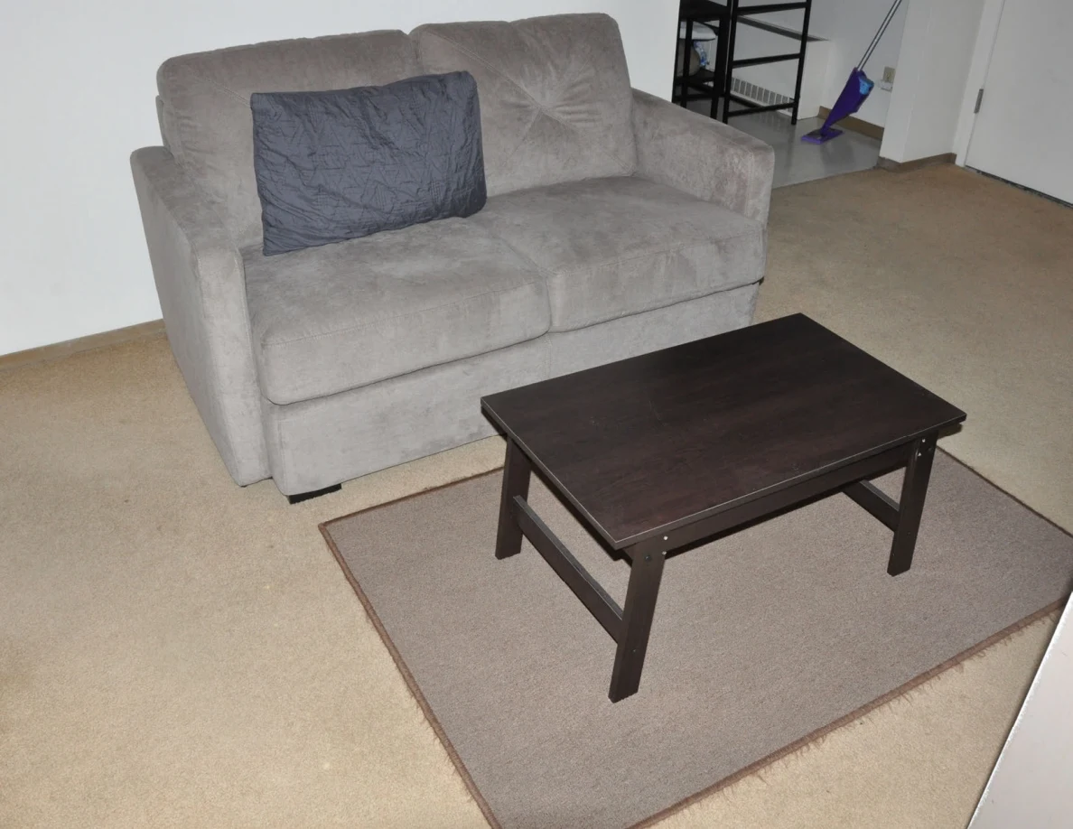 Gray loveseat with a dark cushion, facing a dark coffee table on a rectangular rug.