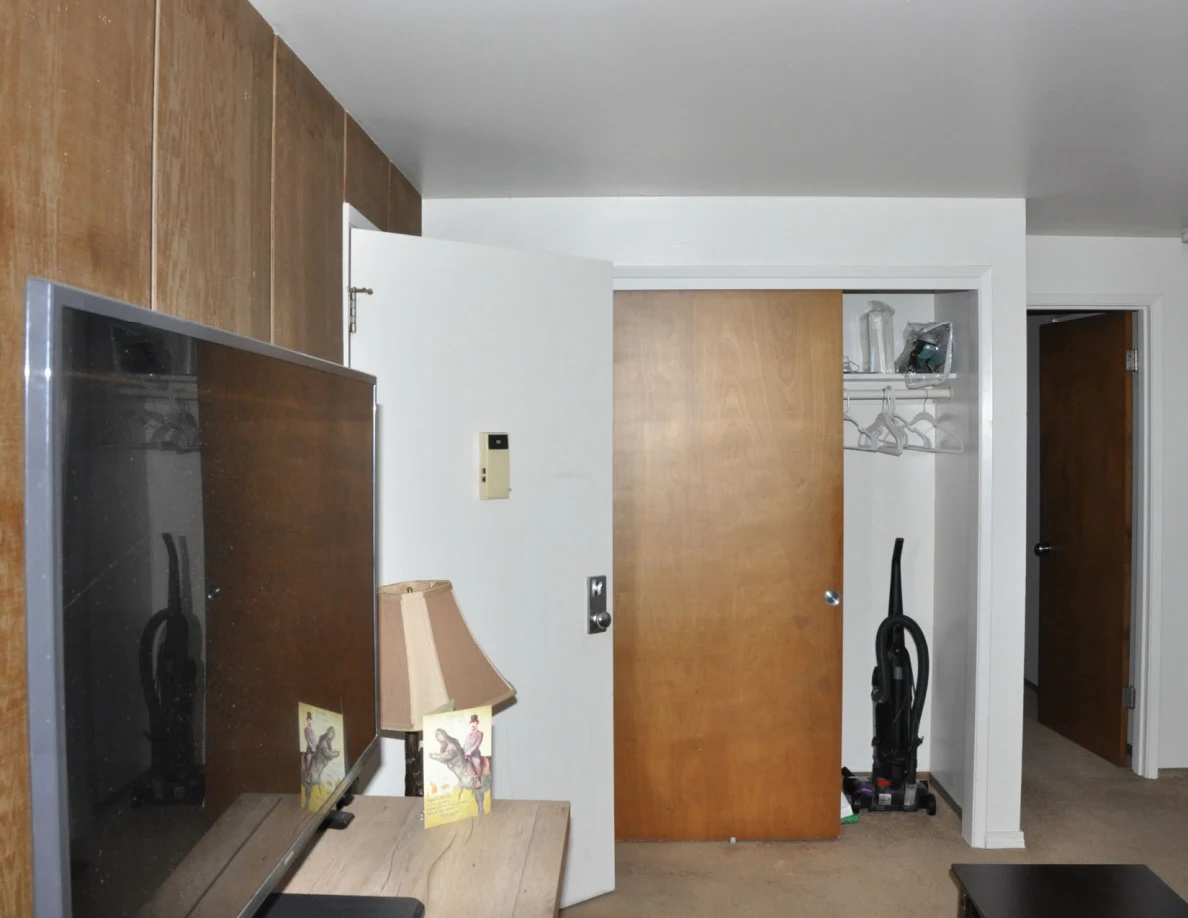 Television on a cabinet against wood paneling, beside a lamp and an open closet with a vacuum.