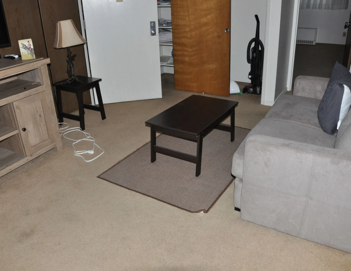 Coffee table on a rectangular rug in front of a gray sofa, beside television cabinet and lamp.