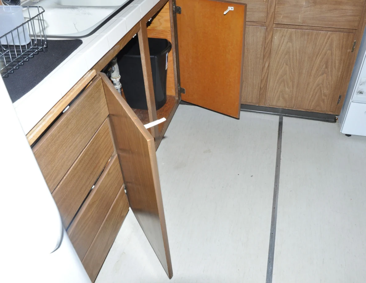 Open under-sink kitchen cabinet with a black bin and plumbing visible.
