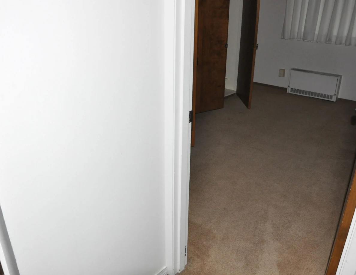 Carpeted doorway leading toward an open wooden closet and wall heater.