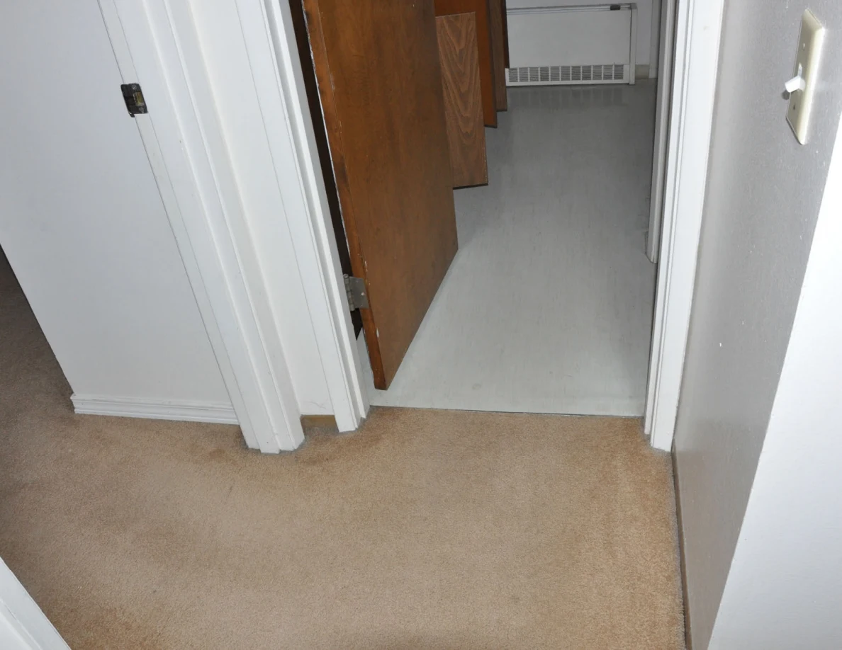 Carpeted hallway at the bathroom threshold with an open wooden door and pale flooring beyond.