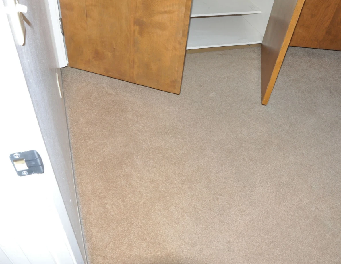 Carpet beside open wooden closet doors and empty white shelves.