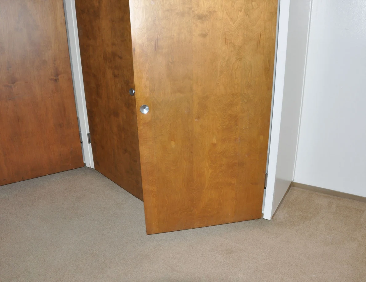 Lower wooden closet doors over beige carpet.